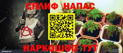 дурь Славгород