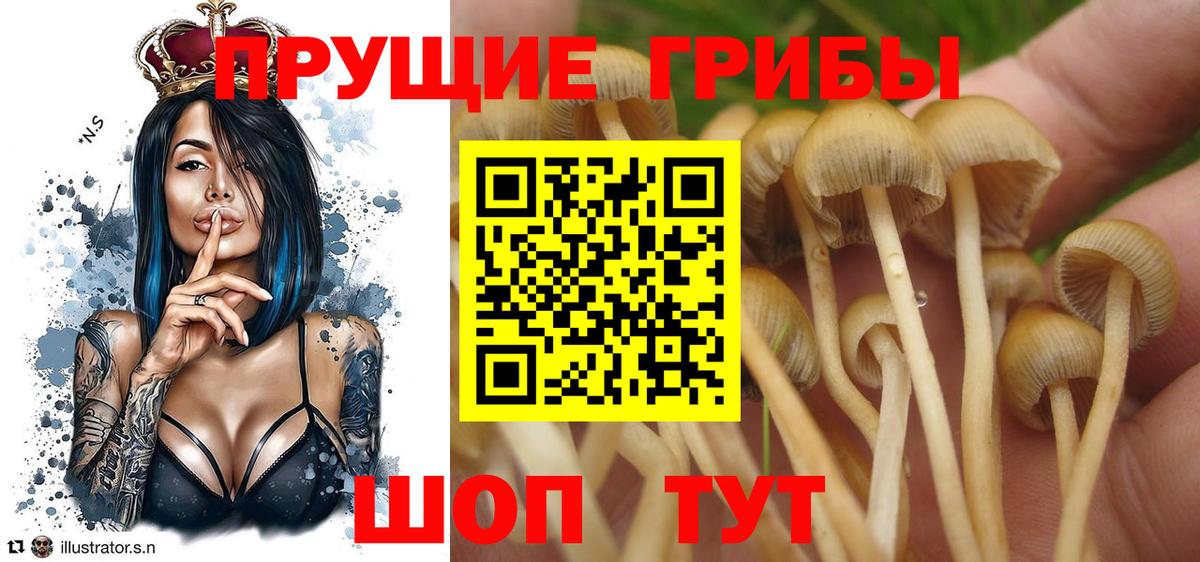 Галлюциногенные грибы MAGIC MUSHROOMS Архангельск