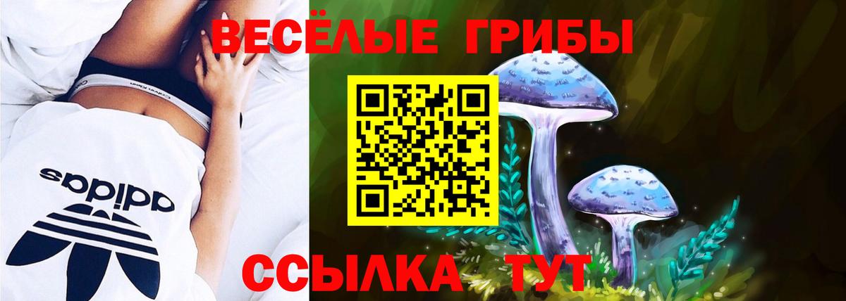 Галлюциногенные грибы Psilocybine cubensis  Псилоцибиновые грибы GOLDEN TEACHER  Вход с VPN  Архангельск 