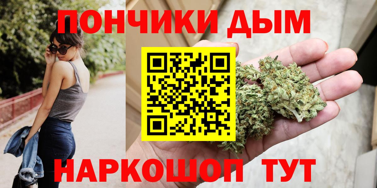 Бошки Шишки планчик Архангельск